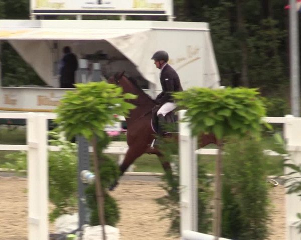 Reitturnier Ladelund 2021