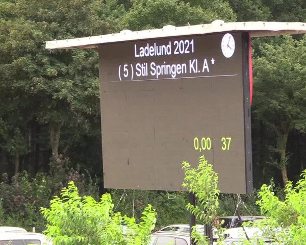Reitturnier Ladelund 2021