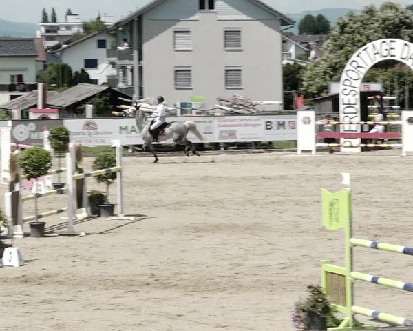 Reitturnier Dagmersellen 2021