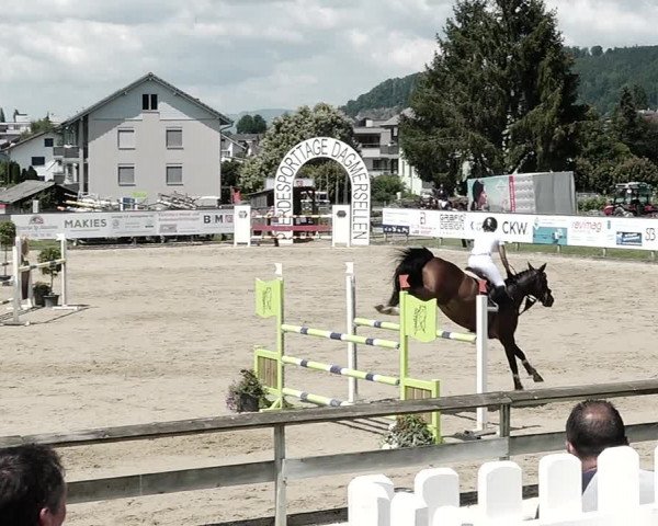 Reitturnier Dagmersellen 2021