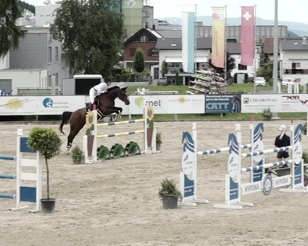 Reitturnier Dagmersellen 2021