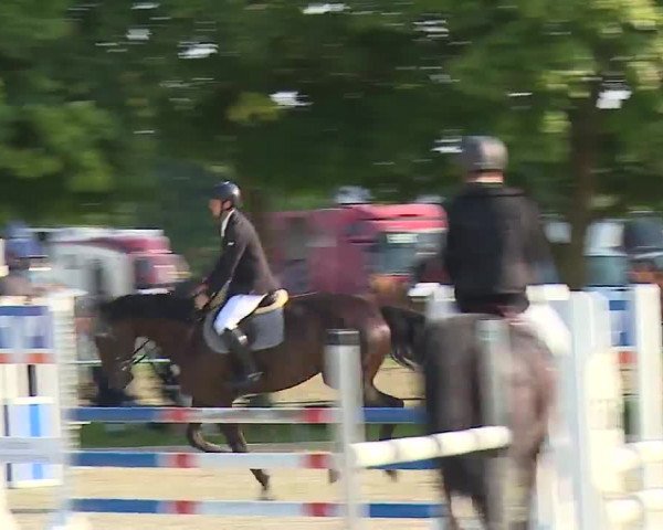 Reitturnier Rot am See – Musdorf 2021