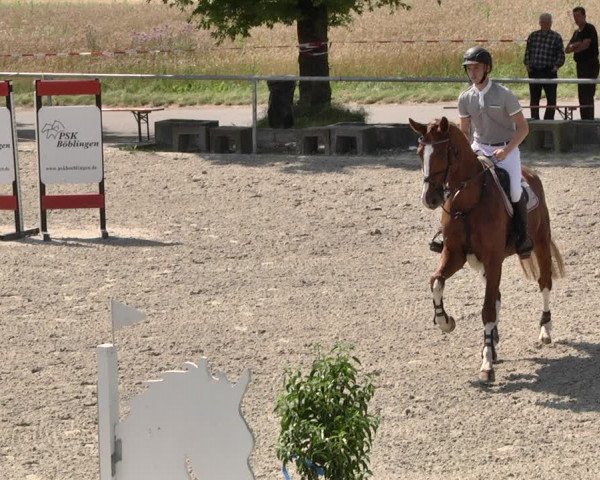 Reitturnier Ehningen 2021