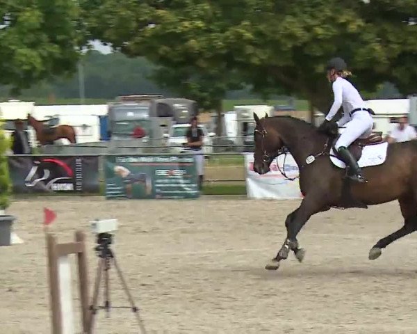 Reitturnier Rot am See – Musdorf 2021