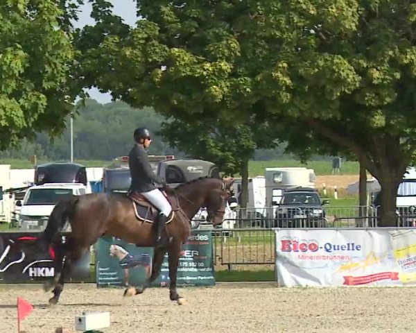 Reitturnier Rot am See – Musdorf 2021
