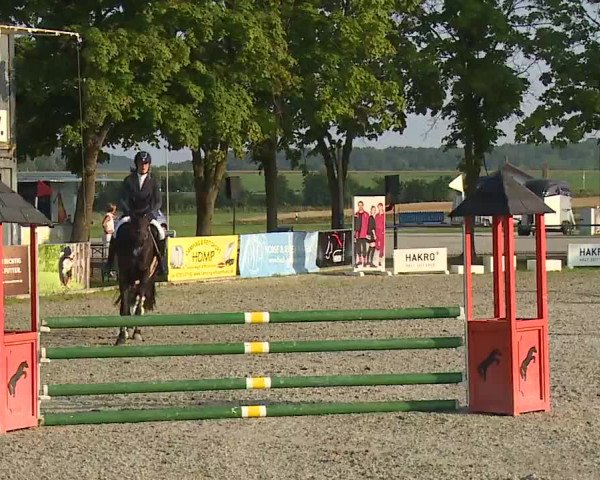 Reitturnier Rot am See – Musdorf 2021