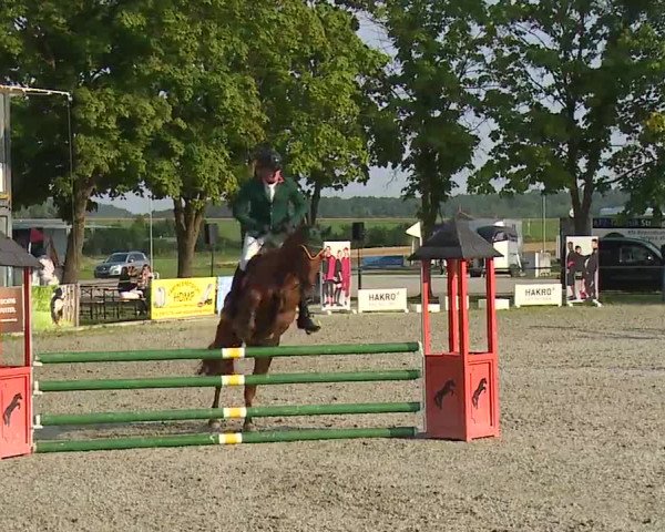 Reitturnier Rot am See – Musdorf 2021
