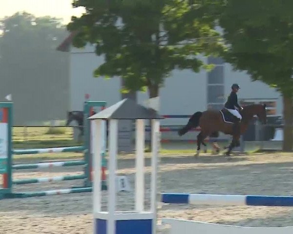 Reitturnier Rot am See – Musdorf 2021
