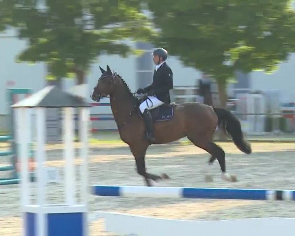Reitturnier Rot am See – Musdorf 2021