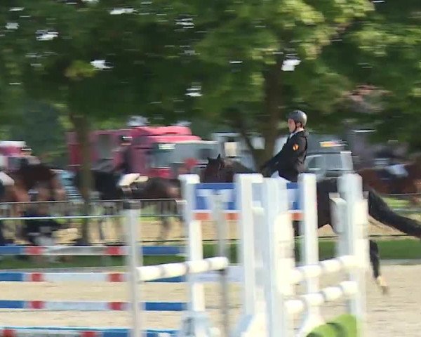 Reitturnier Rot am See – Musdorf 2021