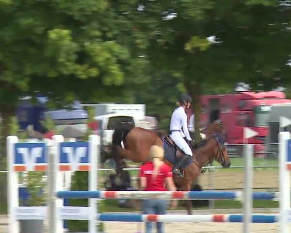 Reitturnier Rot am See – Musdorf 2021