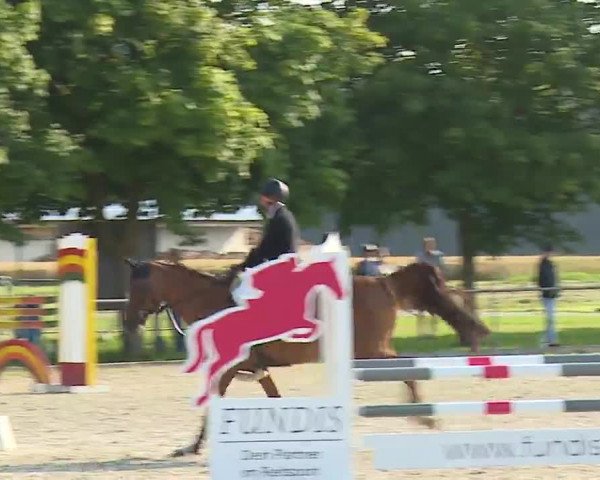 Reitturnier Rot am See – Musdorf 2021
