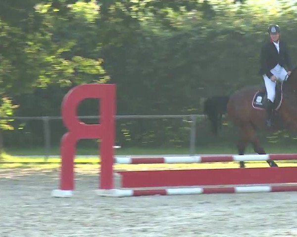 Reitturnier Rot am See – Musdorf 2021