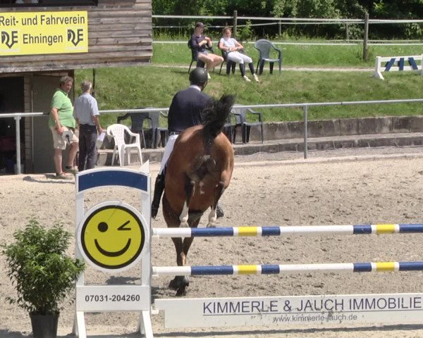 Reitturnier Ehningen 2021