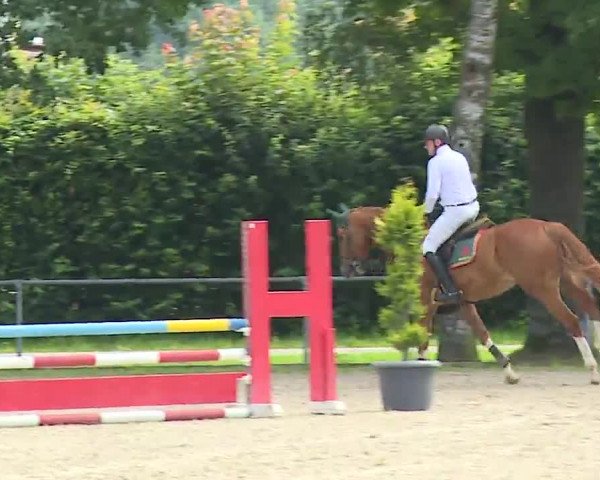Reitturnier Rot am See – Musdorf 2021