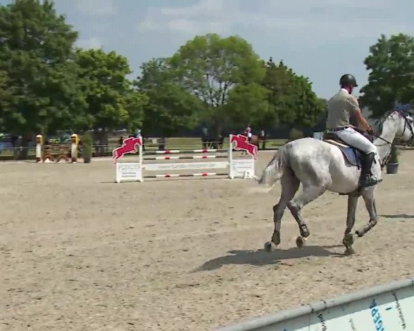 Reitturnier Rot am See – Musdorf 2021
