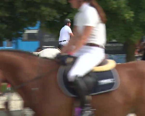 Reitturnier Rot am See – Musdorf 2021