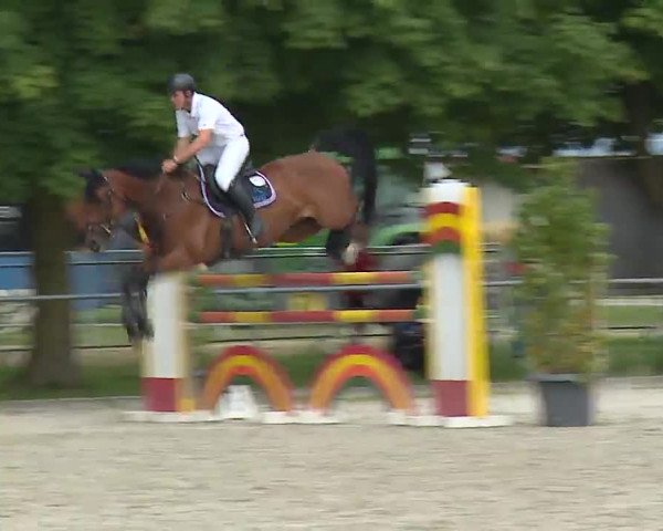 Reitturnier Rot am See – Musdorf 2021