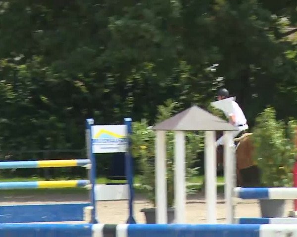 Reitturnier Rot am See – Musdorf 2021