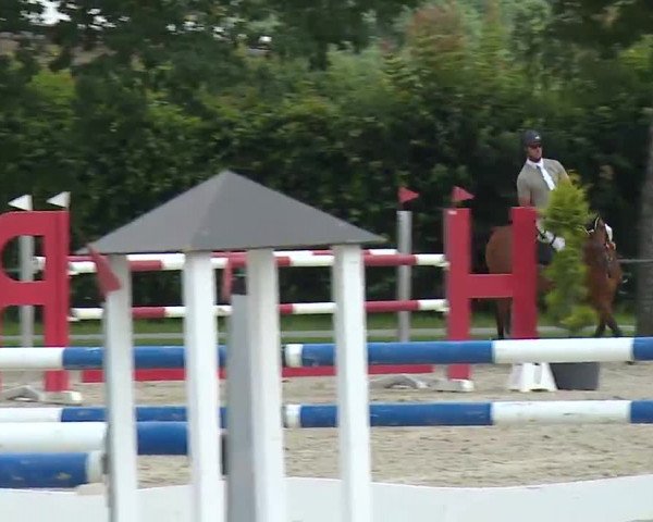 Reitturnier Rot am See – Musdorf 2021