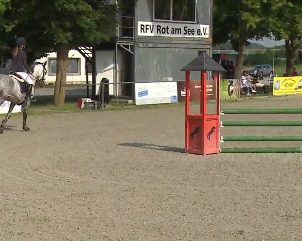 Reitturnier Rot am See – Musdorf 2021