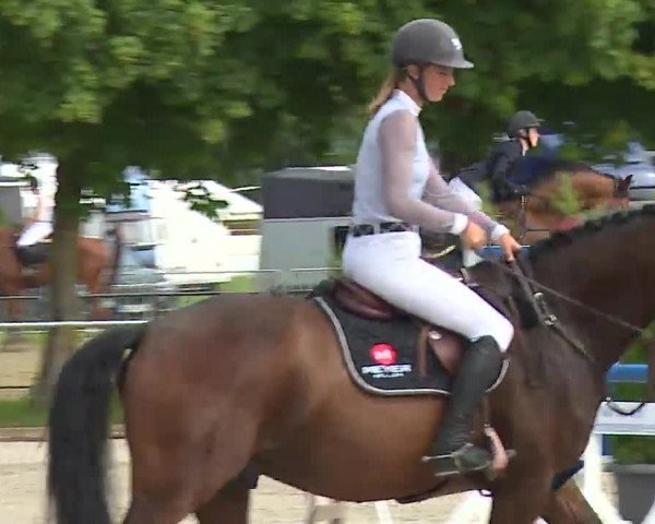 Reitturnier Rot am See – Musdorf 2021