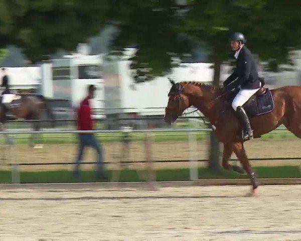 Reitturnier Rot am See – Musdorf 2021