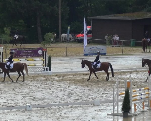 Reitturnier Neunkirchen-Salchendorf 2021