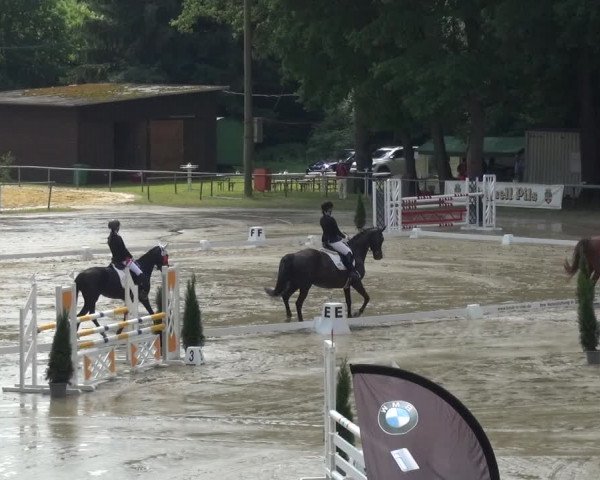 Reitturnier Neunkirchen-Salchendorf 2021