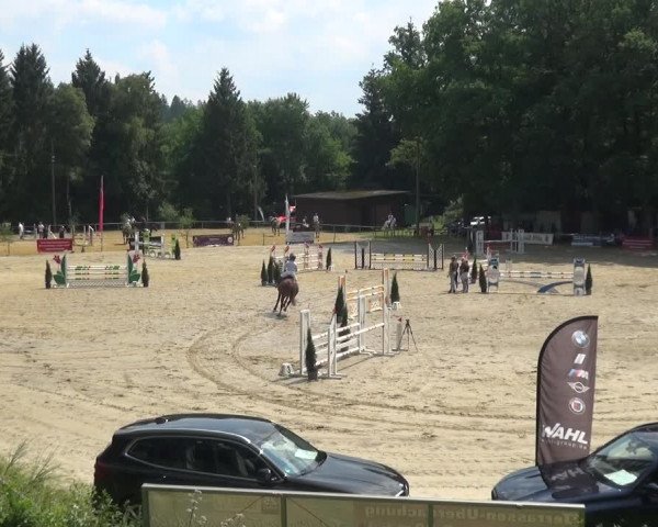 Reitturnier Neunkirchen-Salchendorf 2021
