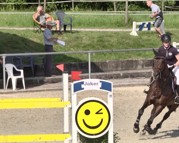 Reitturnier Ehningen 2021