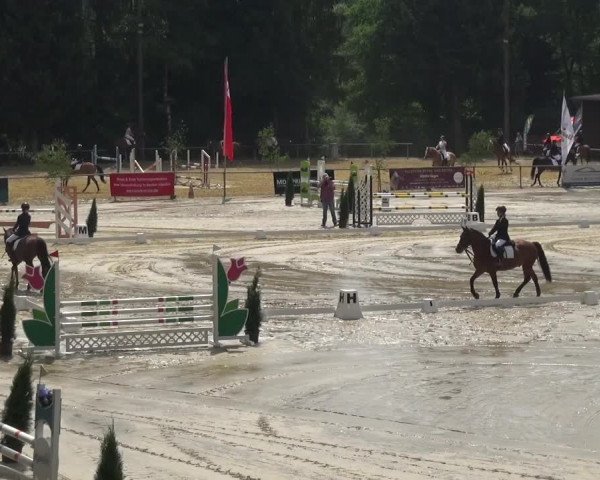 Reitturnier Neunkirchen-Salchendorf 2021