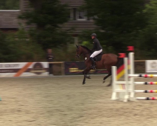 Reitturnier Kropp 2021