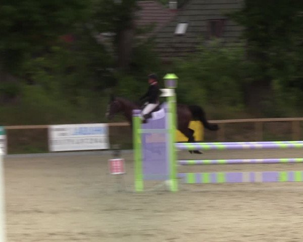 Reitturnier Kropp 2021