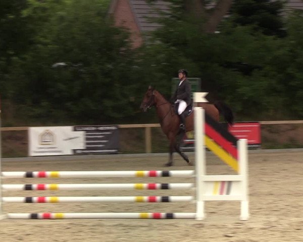 Reitturnier Kropp 2021