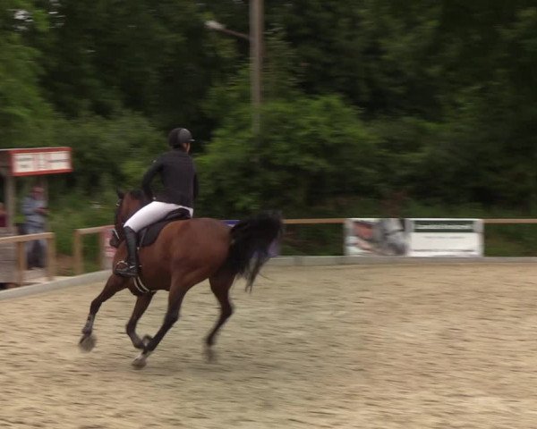 Reitturnier Kropp 2021