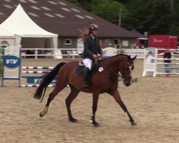 Reitturnier Ladelund 2021