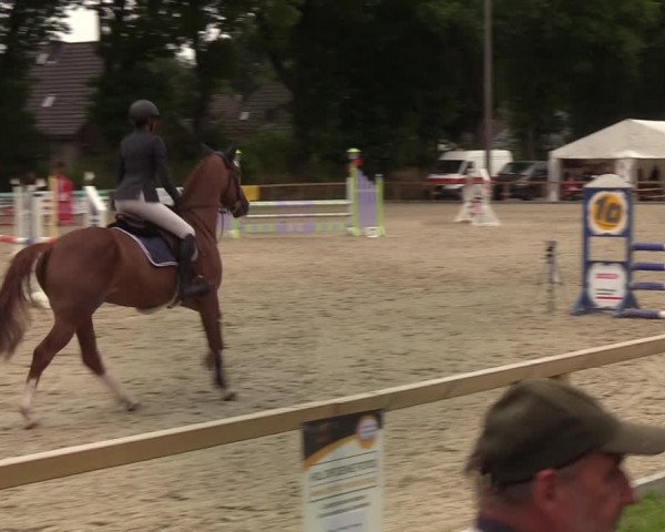 Reitturnier Kropp 2021