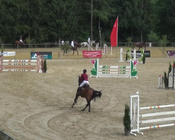 Reitturnier Neunkirchen-Salchendorf 2021