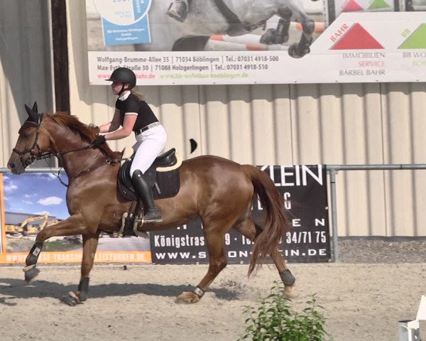 Reitturnier Ehningen 2021