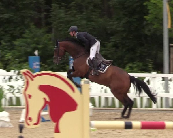 Reitturnier Ladelund 2021