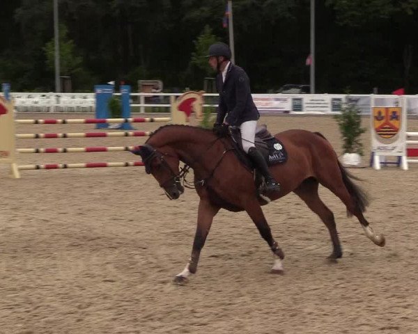 Reitturnier Ladelund 2021