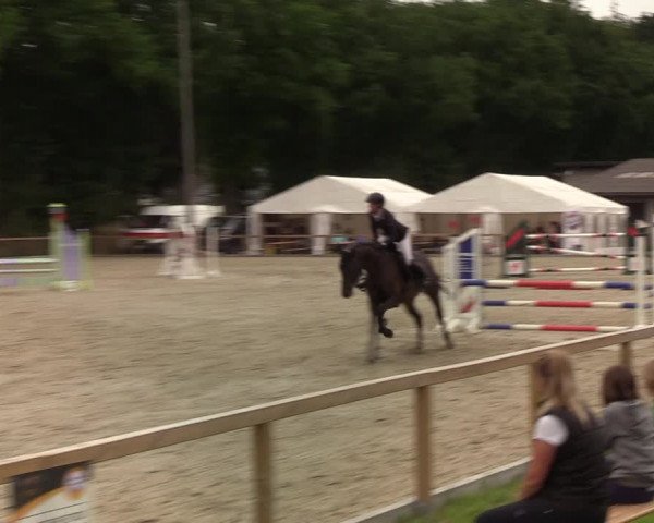 Reitturnier Kropp 2021