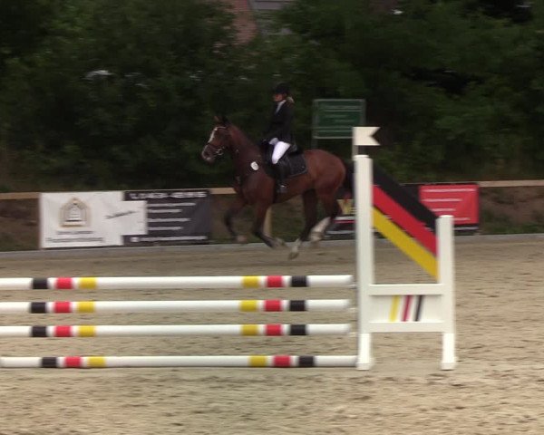 Reitturnier Kropp 2021