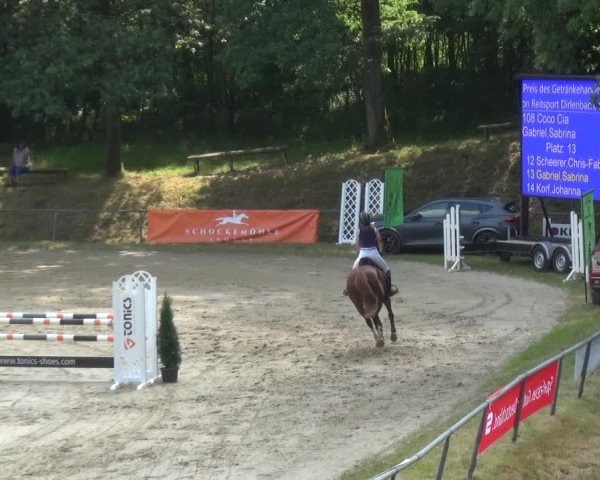 Reitturnier Neunkirchen-Salchendorf 2021