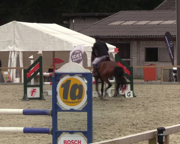 Reitturnier Kropp 2021