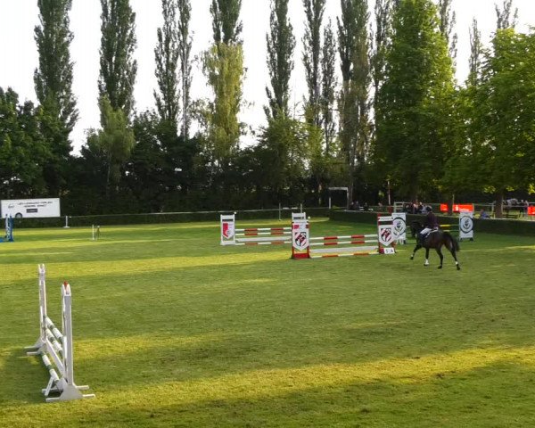 Reitturnier Westeregeln 2021