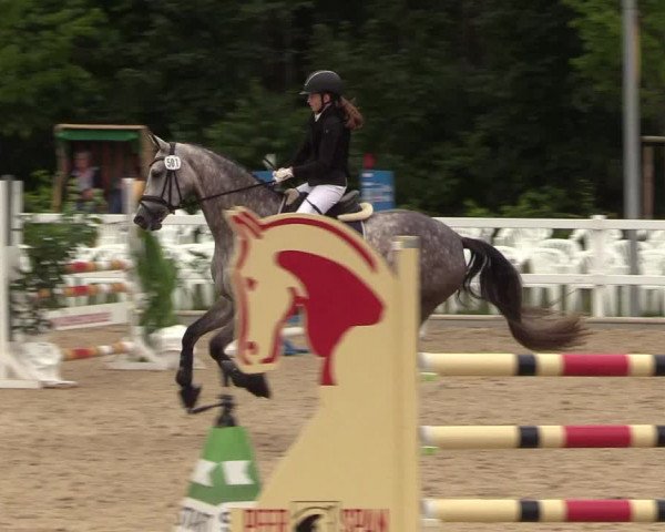 Reitturnier Ladelund 2021