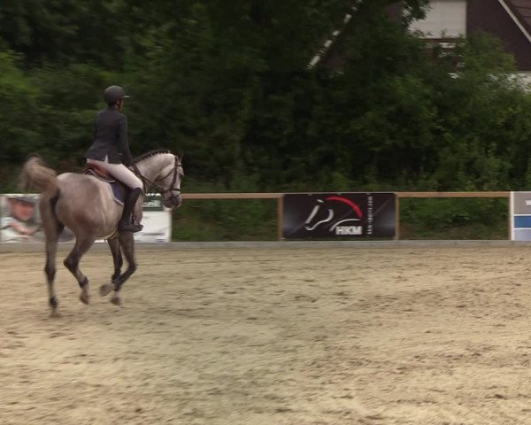 Reitturnier Kropp 2021