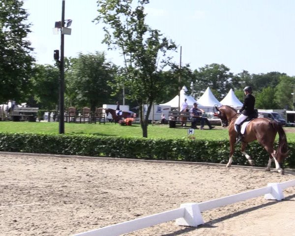Reitturnier Olfen-Vinnum 2021